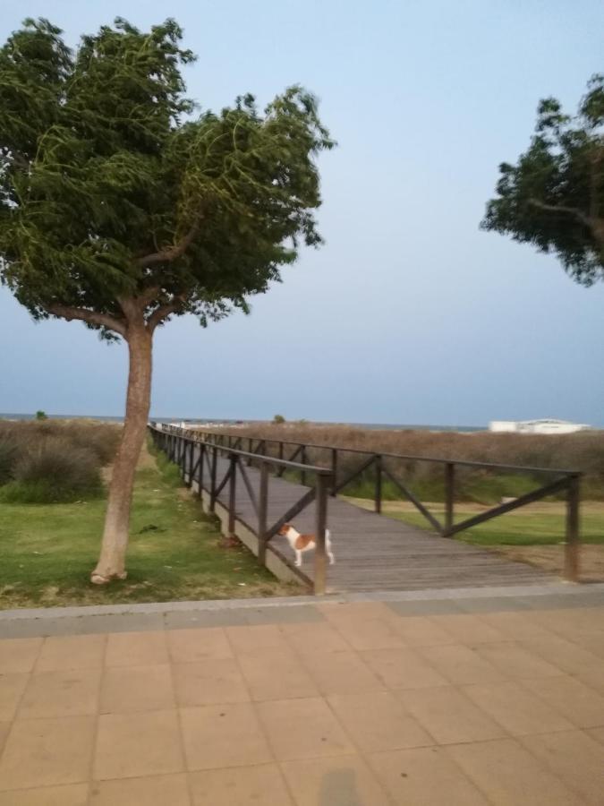 Jana Daire Conil De La Frontera Dış mekan fotoğraf